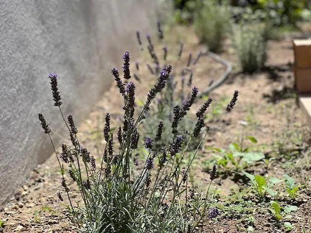 ゲストハウス Une Nuit En Luberon Puyvert フランス