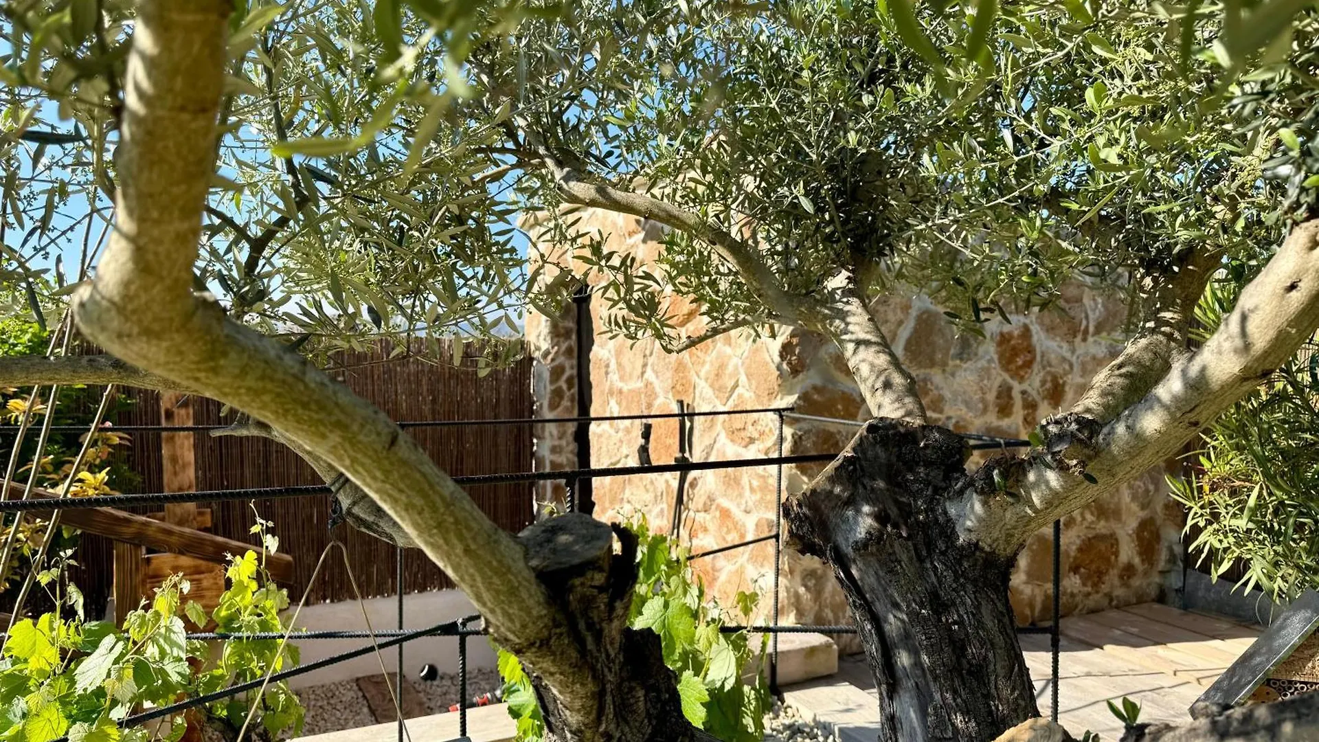 Une Nuit En Luberon Puyvert
